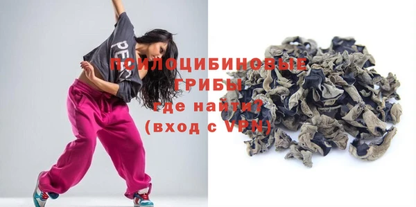ПСИЛОЦИБИНОВЫЕ ГРИБЫ Аркадак