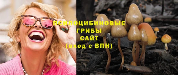 хмурый Армянск