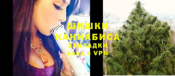ПСИЛОЦИБИНОВЫЕ ГРИБЫ Аркадак